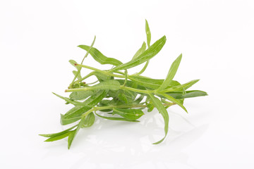 Tarragon herbs close up isolated on white