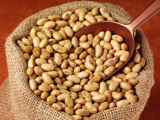 SACK OF ROASTED SOYA NUTS