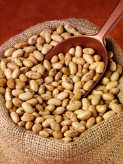 SACK OF ROASTED SOYA NUTS