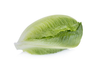 Cos Lettuce Isolated on White Background