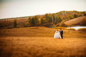 young bride and groom on the background of field