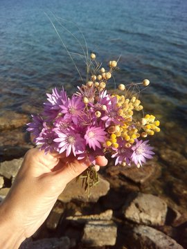 Букет степных цветов в руке на фоне моря и камней