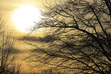 Sunset clouds over dark horizont