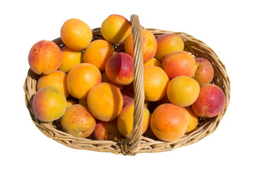 basket apricot view overhead