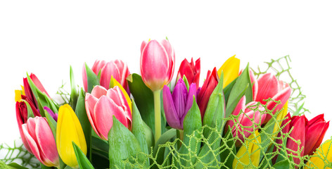 bouquet of 25 colorful tulips, isolated on white background