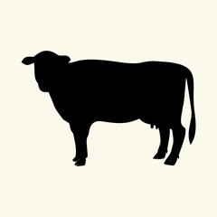 dairy cow