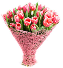 bouquet of pink tulips in a package, isolated on white backgroun