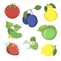 collection of fruits and vegetables Vector illustration