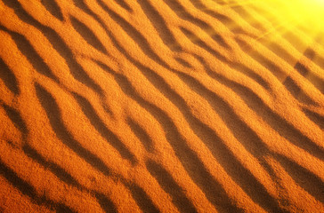 Desert sand with sunlight. Gold desert into the sunset