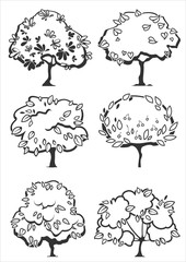 different types tree silhouettes