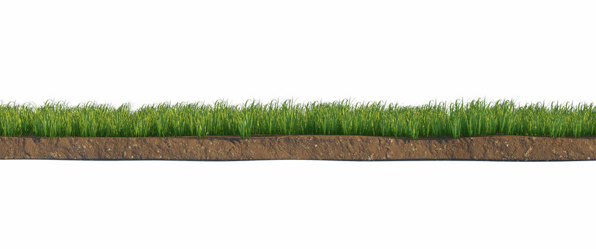 Soil and green grass layers isolated on white background