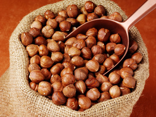 SACK OF HAZELNUTS
