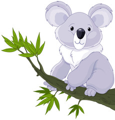Koala on a Tree