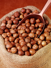 SACK OF HAZELNUTS