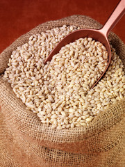 SACK OF PEARL BARLEY