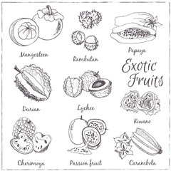 Vector illustration of Fruits