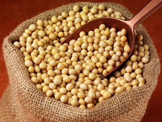 SACK OF SOYA BEANS