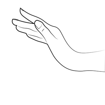 Sketch of the hand