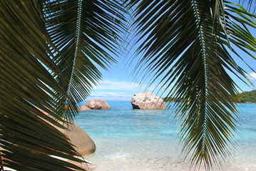 Paradise