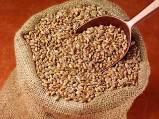 SACK OF WHOLE WHEAT GRAINS