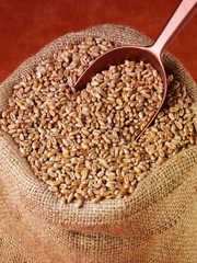 SACK OF WHOLE WHEAT GRAINS