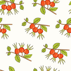 Dogrose Seamless Pattern. Collection of berries.