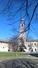 Castello Visconteo torre del Bramante Vigevano
