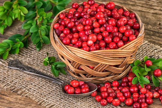 Cranberries basket