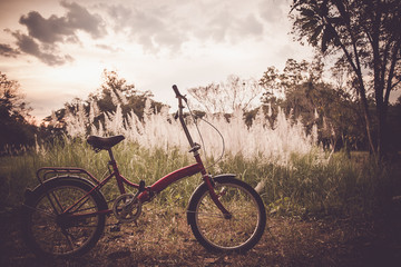 Fototapeta na wymiar Bicycle on flower grass field, vintage color tone