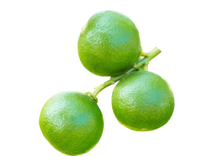 green lemons on the branch in farm