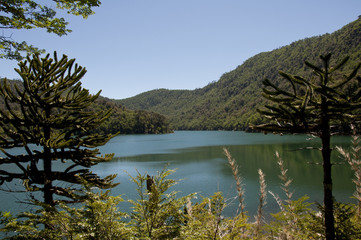 Fototapeta na wymiar Lago rodeado de bosque en el Parque Nacional de Huerquehue, Chile
