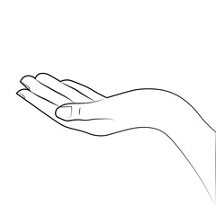 Sketch of the hand