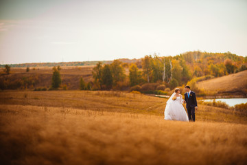 young bride and groom on the background of field