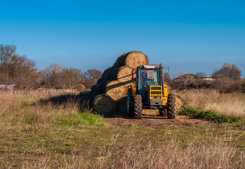 Tracteur et fourrage.