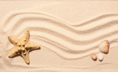 Fototapeta na wymiar Starfish, scallop seashell and two stones on beach sand