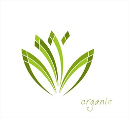 leaves, plant, icon , nature, Eco friendly business logo