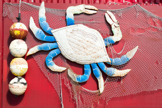 Close-up of crab on wall of Joanie's Blue Crab Cafe in Ochopee on Tamiami Trail US 41, Big Cypress National Park, Everglades, Florida, USA