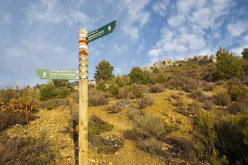 Indicadores en la sierra de Ocejón. Guadalajara