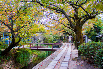 Fototapeta premium Philosopher's Walk w Kioto w Japonii