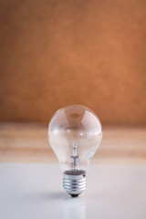 light bulb with brown background