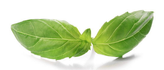 Fresh basis leaves isolated on white