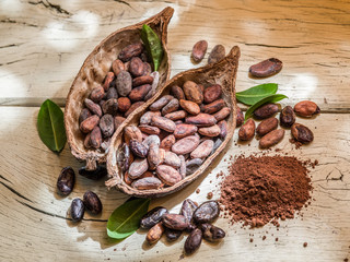 Cocao powder and cocao beans on the wooden table.