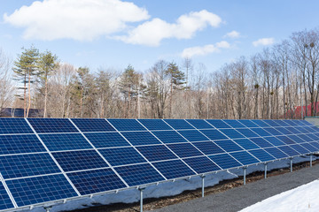 Solar Panels in forest