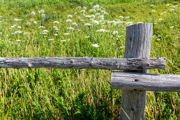 Rustic old Pole Fence