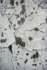 Stone surface