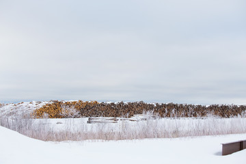 A row of cut and stacked logs ready to be processed in a white winter landscape