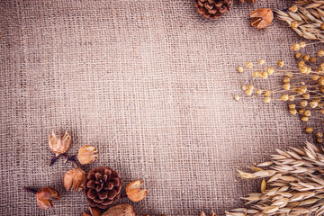 spikelets Wheat corn flax burlap