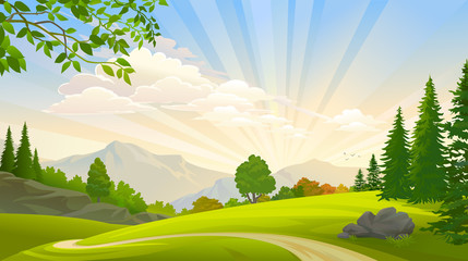 forest and green grasslands around a lonely path