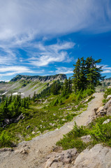 Beautiful Mountain Artist Ridge Trail Park. Mount Baker, Washington, USA.