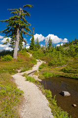 Fragment of a trail with beautiful mountain lake in Mount Baker Visitor Center, WA, USA.